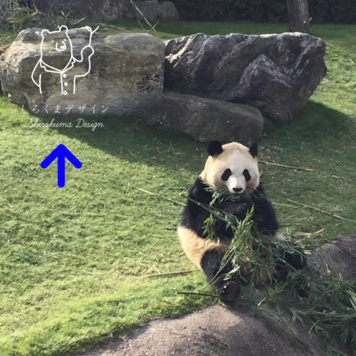 スマートフォンで写真にロゴを入れてみよう(アプリ不要)